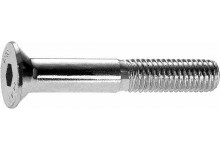 Tornillo DIN 7991